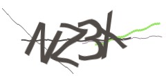 Identifying code