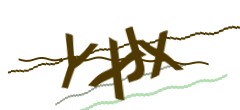 Identifying code