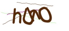 Identifying code