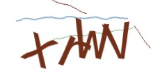 Identifying code