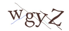 Identifying code