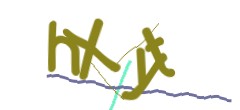 Identifying code