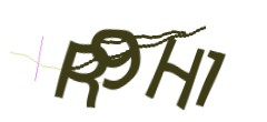 Identifying code