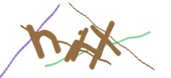 Identifying code