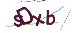 Identifying code