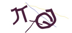 Identifying code