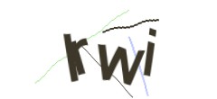 Identifying code