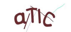Identifying code