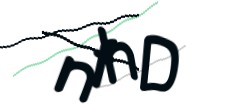 Identifying code
