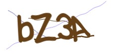 Identifying code