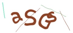 Identifying code