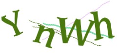 Identifying code