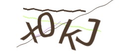 Identifying code