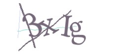 Identifying code