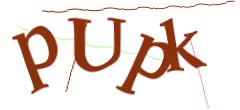 Identifying code