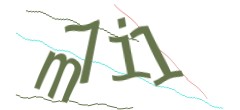 Identifying code