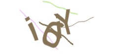 Identifying code