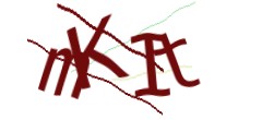 Identifying code