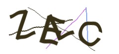Identifying code