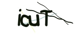 Identifying code