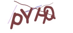 Identifying code