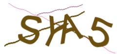 Identifying code