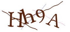 Identifying code