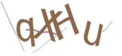 Identifying code