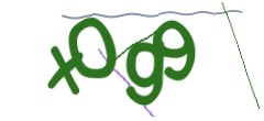 Identifying code