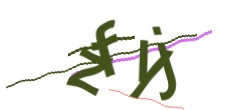Identifying code