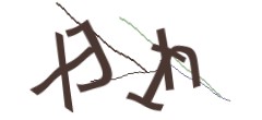 Identifying code