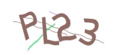 Identifying code