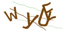 Identifying code
