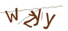 Identifying code