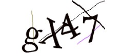 Identifying code