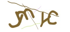 Identifying code