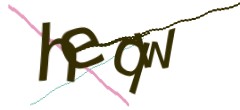 Identifying code