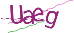 Identifying code