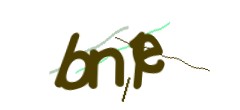 Identifying code