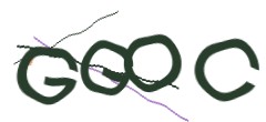 Identifying code