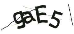 Identifying code
