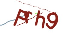 Identifying code