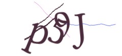 Identifying code