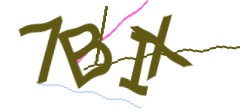 Identifying code