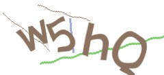 Identifying code