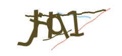 Identifying code