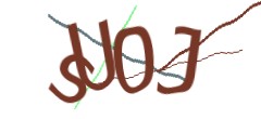 Identifying code