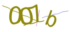 Identifying code