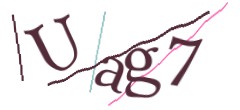 Identifying code