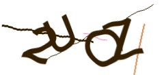 Identifying code